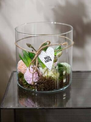 Hyacinten in glas (Anna)