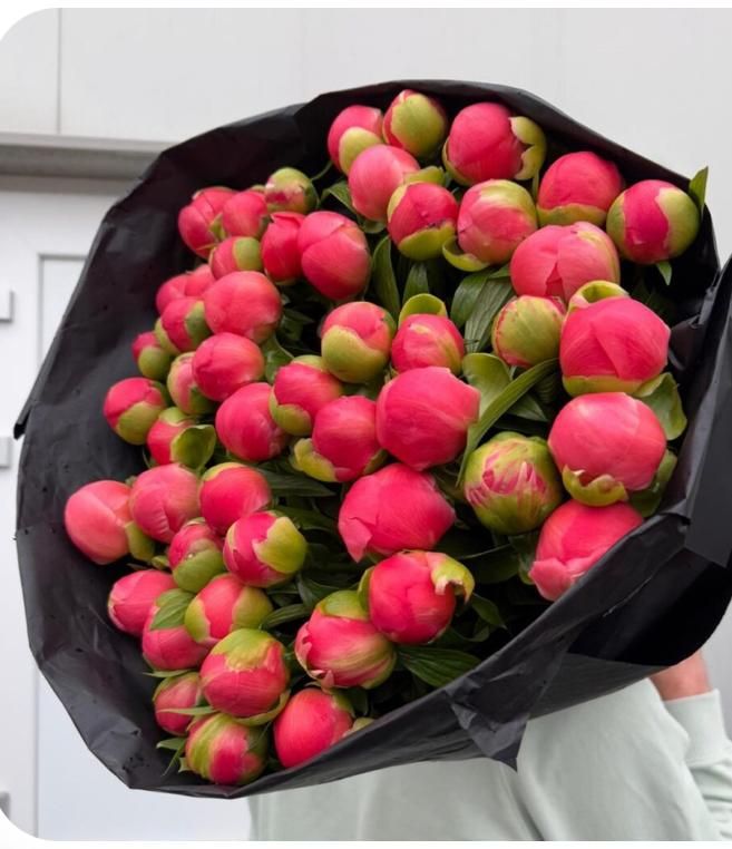 Puur Pioenen