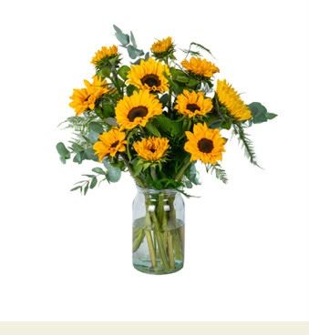 Puur zonnebloemen