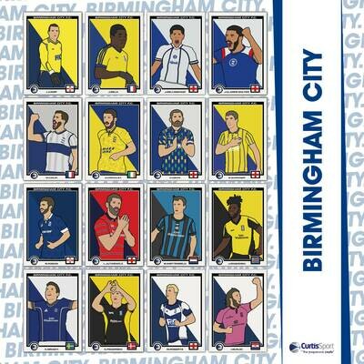 Birmingham City 2020 cards