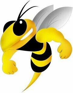 Coventry Bees