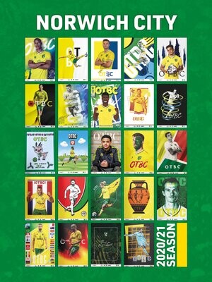 Norwich City 2020/21 Collection