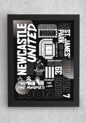 A4 POSTER - Newcastle United 'Factfile' Poster