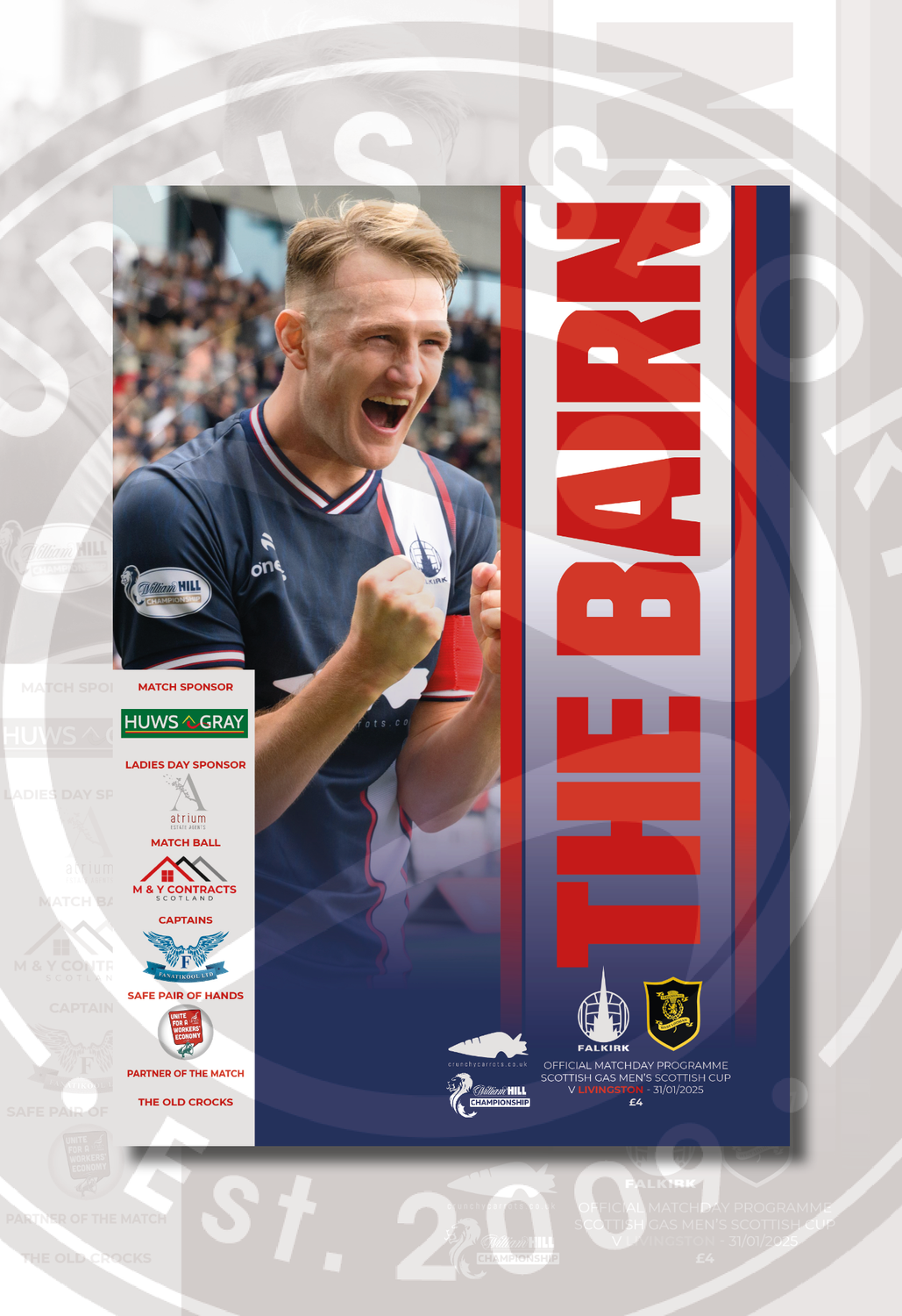 Falkirk v Livingston - 31/01/25