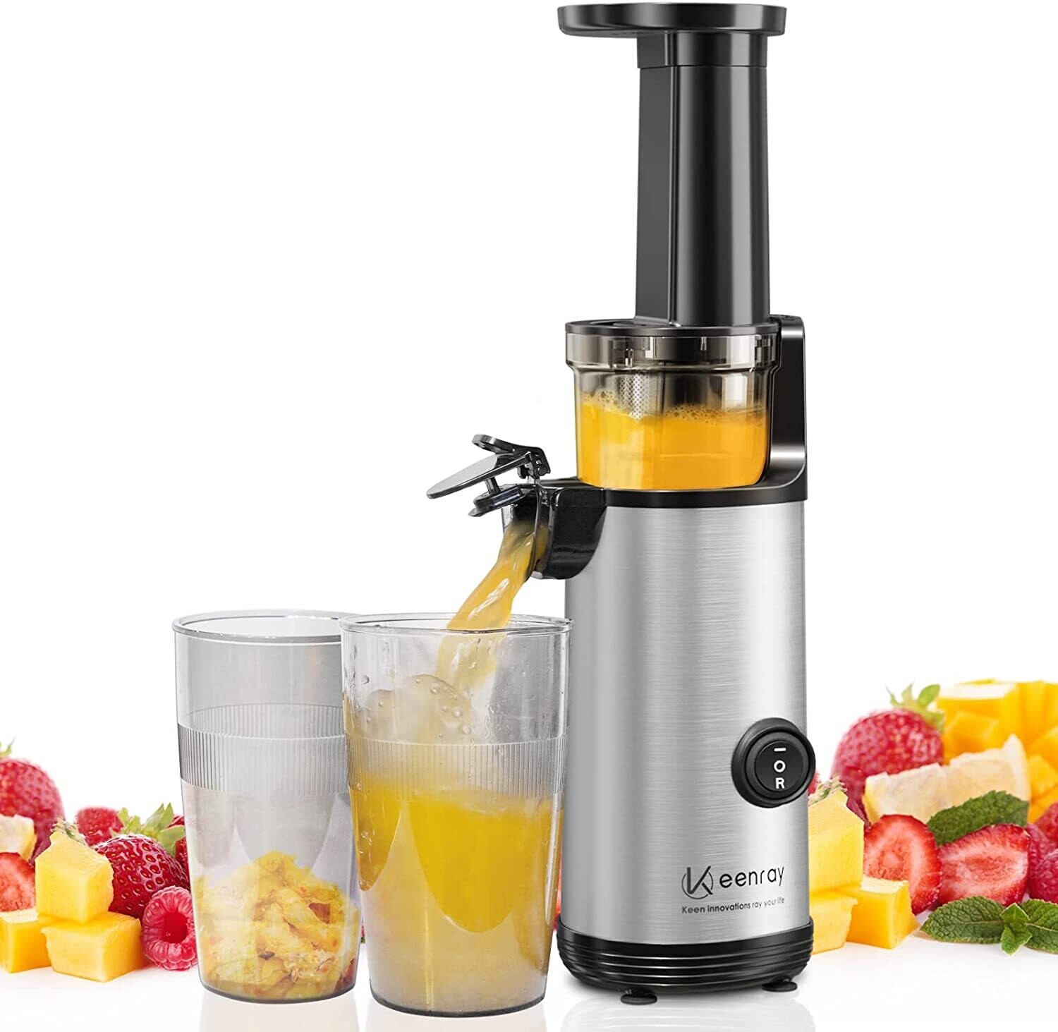 Slow Juicer Entsafter, kleiner Gemüse und Obst Profi Entsafter