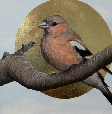 Songbirds of Istanbul Note Card - Chaffinch