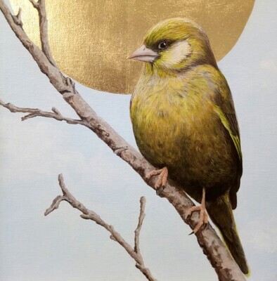 Songbirds of Istanbul Note Card - Greenfinch