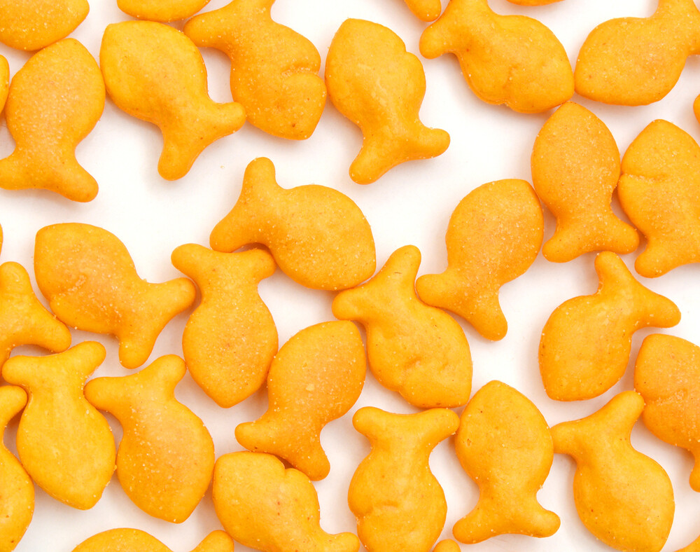Delta-8 Magical Fish Fins (500mg)