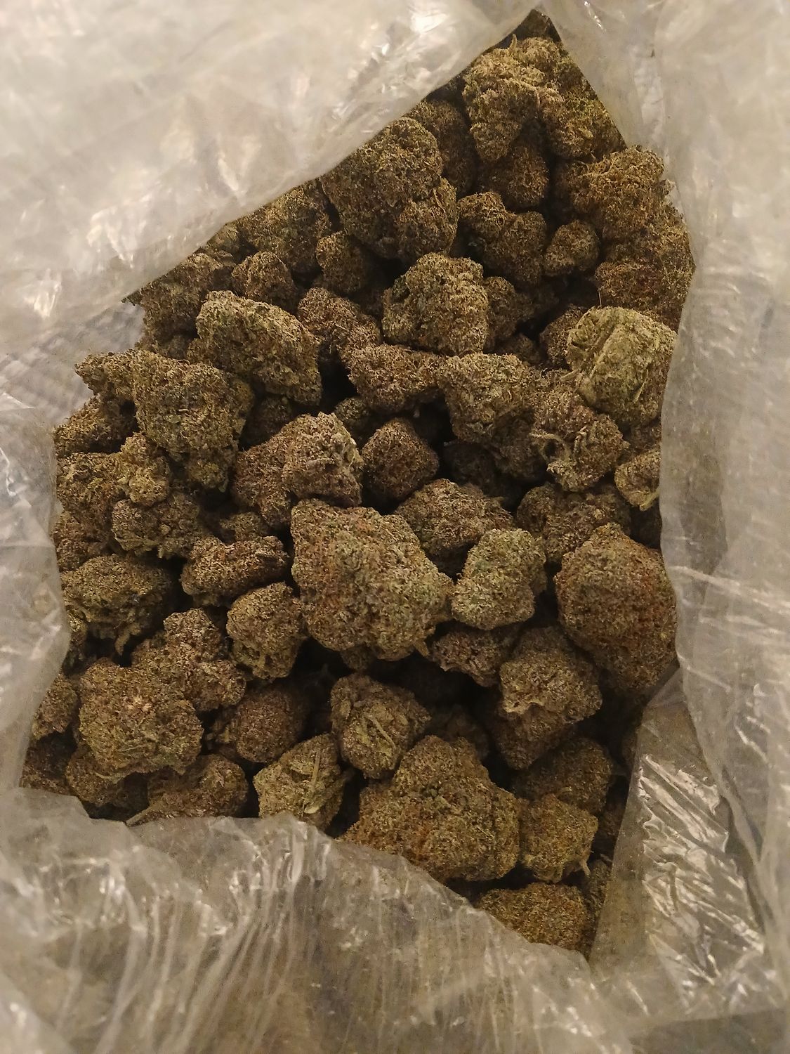 Exotic pick of the week (THCA)
