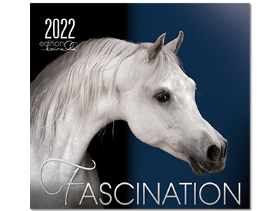 Kalender Fascination 2022