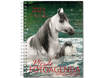 Pferde Fotoagenda 2022
