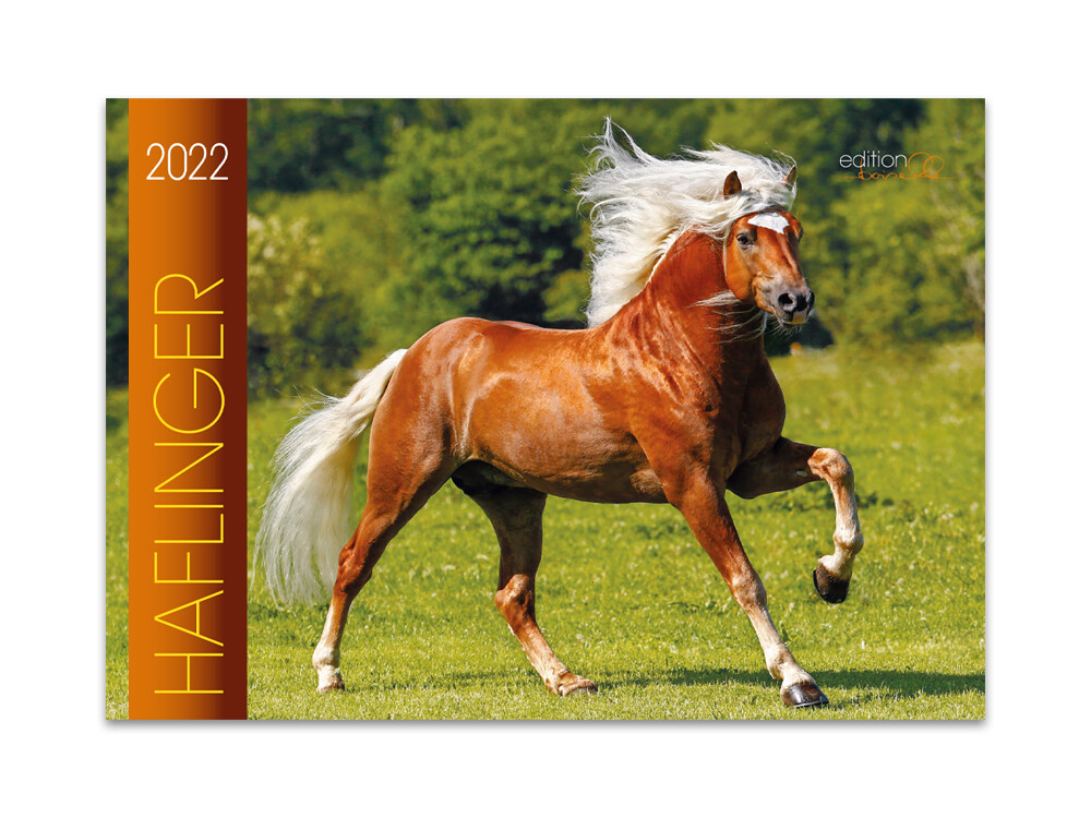 Kalender Haflinger 2022
