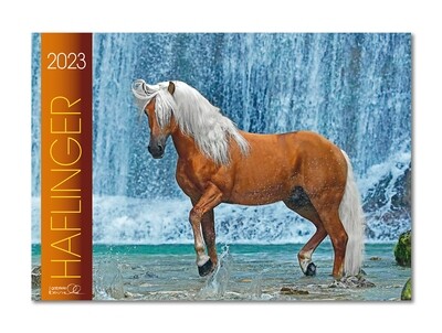 Kalender Haflinger 2023