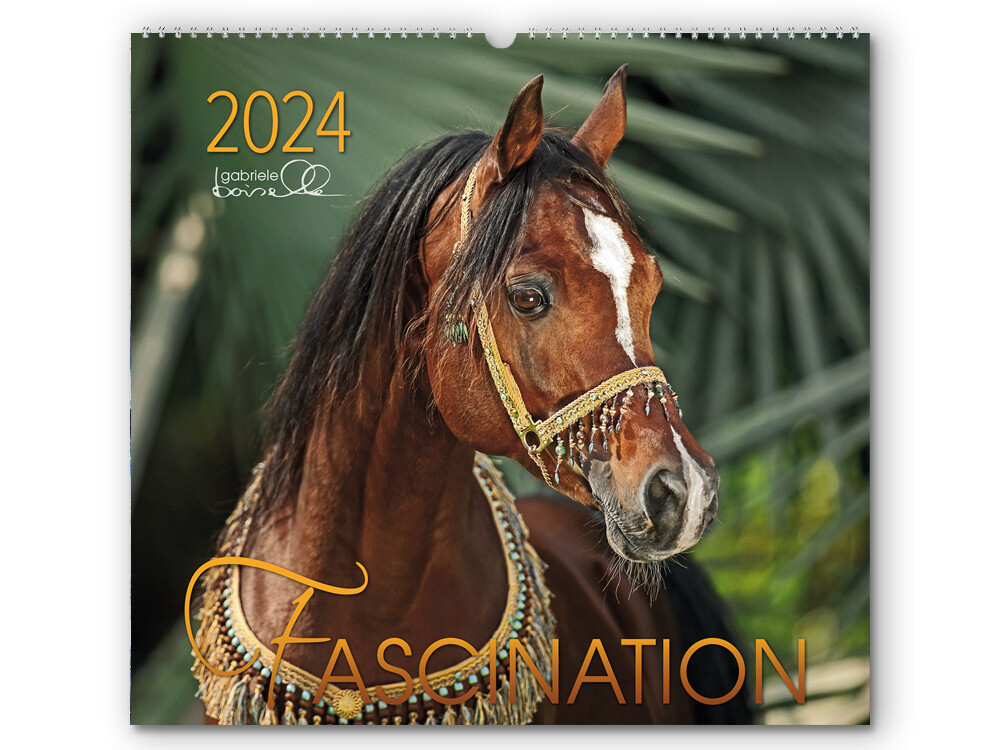 Kalender Fascination 2024