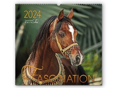 Kalender Fascination 2024 Kalender Fascination 2024
