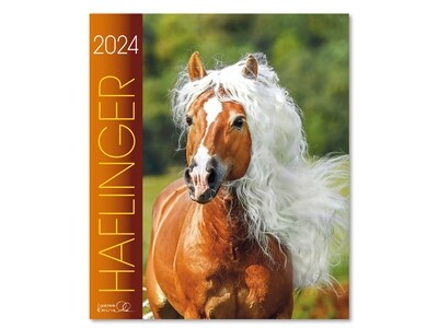 Kalender Haflinger 2024