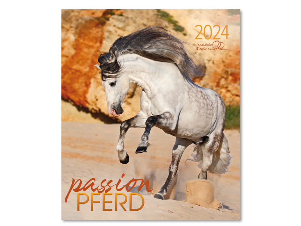Passion Pferd 2024