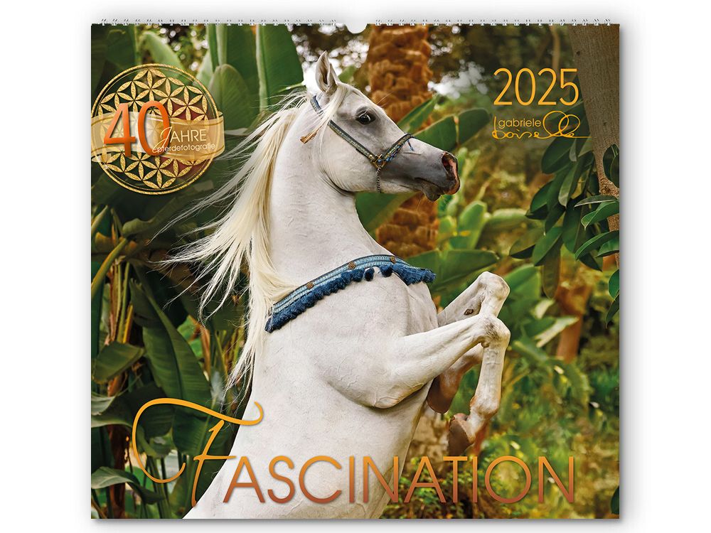 Kalender Fascination 2025