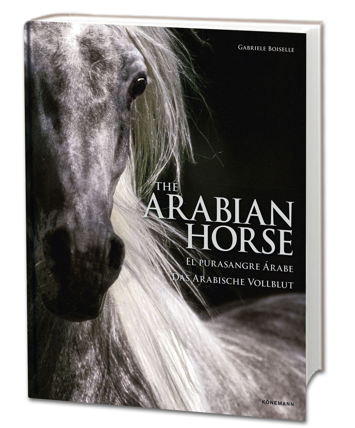 COFFEE TABLE BOOK: Das Arabische Vollblut