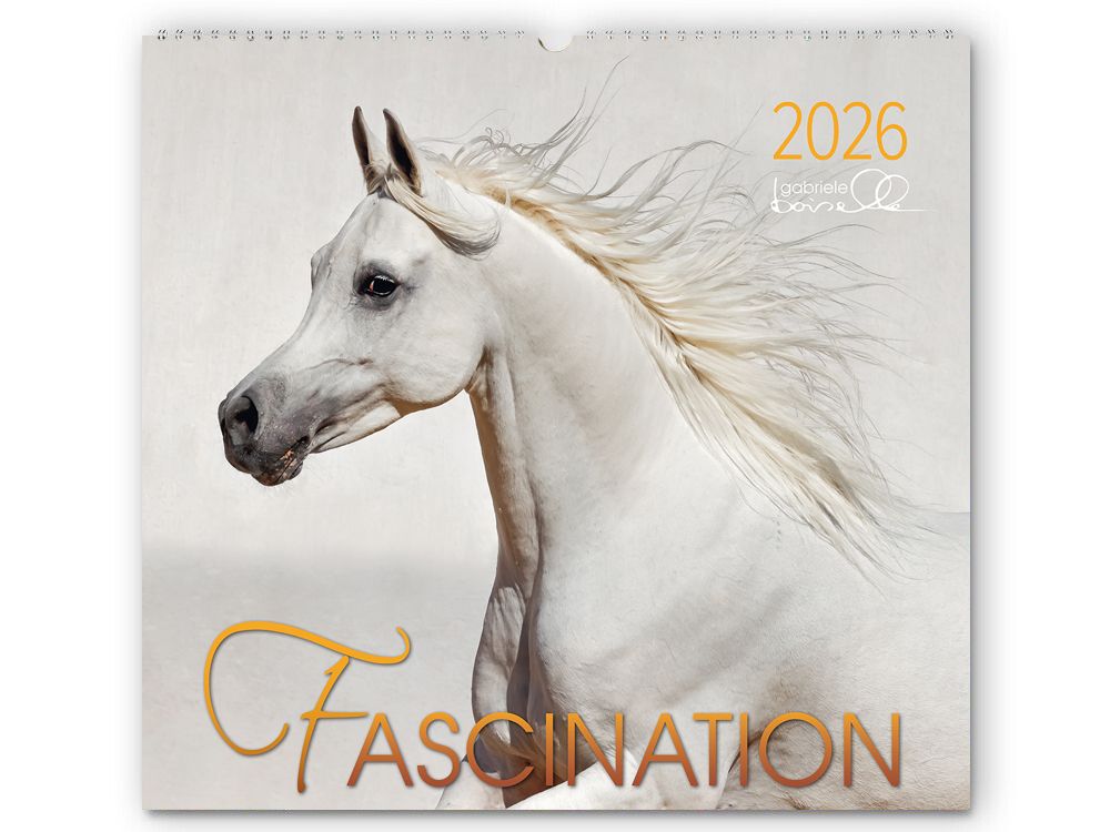 Kalender Fascination 2026