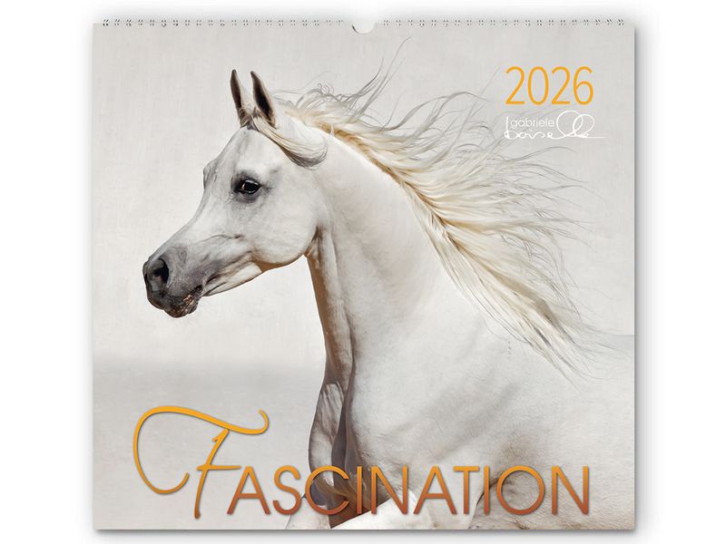 Kalender Fascination 2026 Kalender Fascination 2026