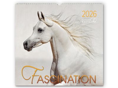 Kalender Fascination 2026 Kalender Fascination 2026