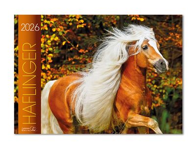 Kalender Haflinger 2026