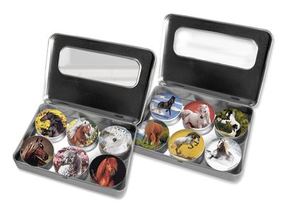 FOTOMAGNET BOX – in 2 Varianten