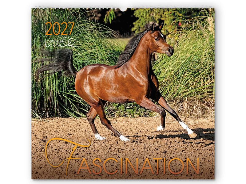 Kalender Fascination 2027