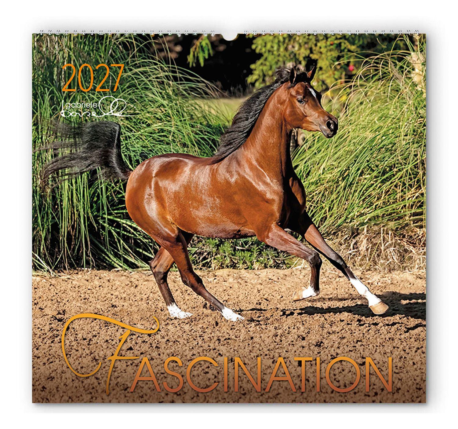 Kalender Fascination 2027