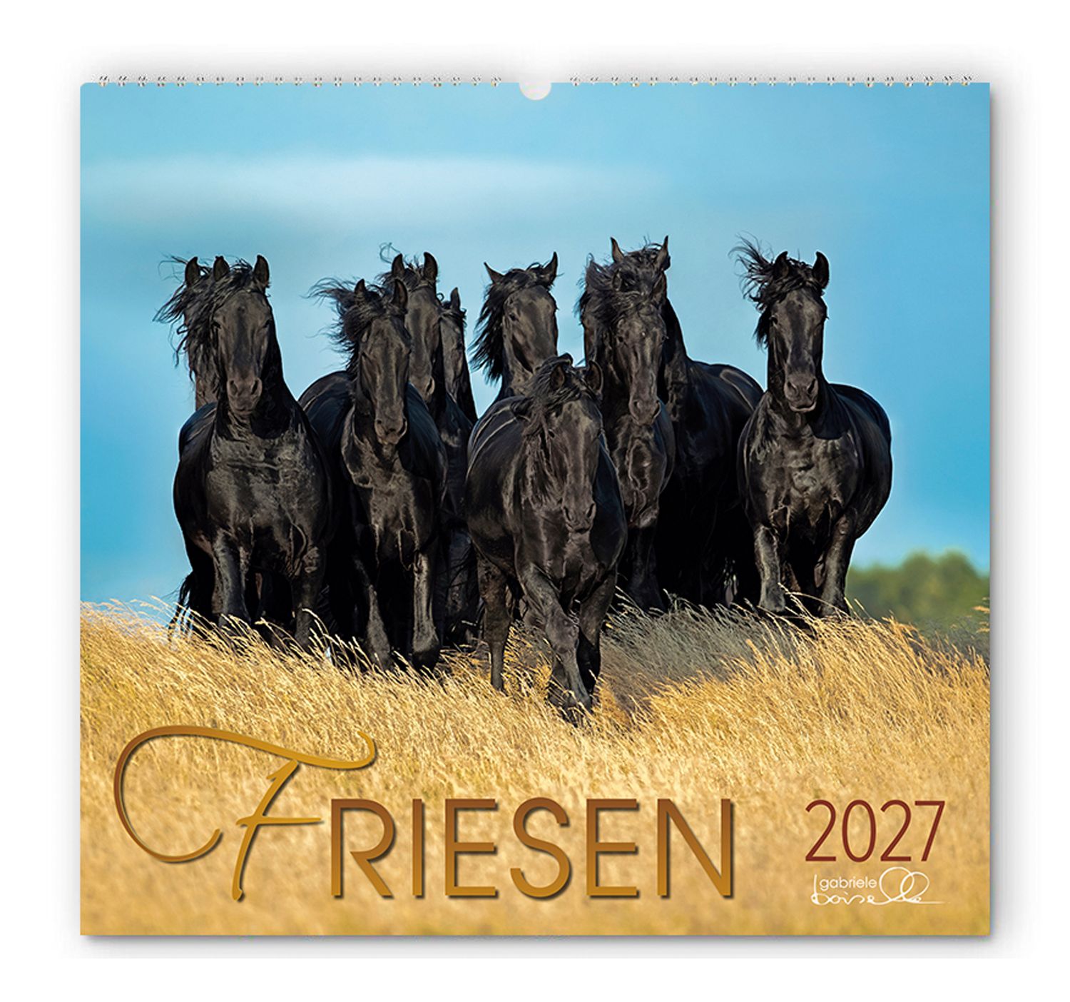 Kalender Friesen 2027