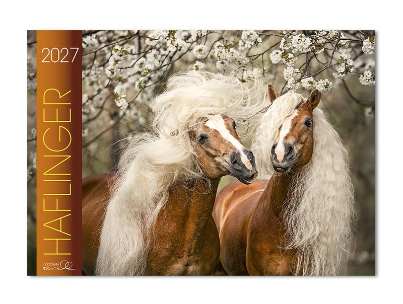 Kalender Haflinger 2027