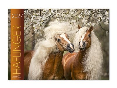 Kalender Haflinger 2027