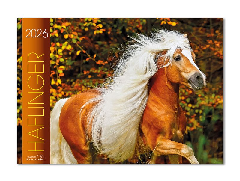 Kalender Haflinger 2026