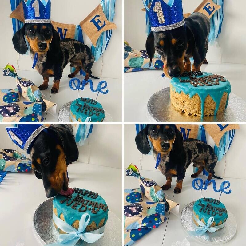 Small Birthday Cake