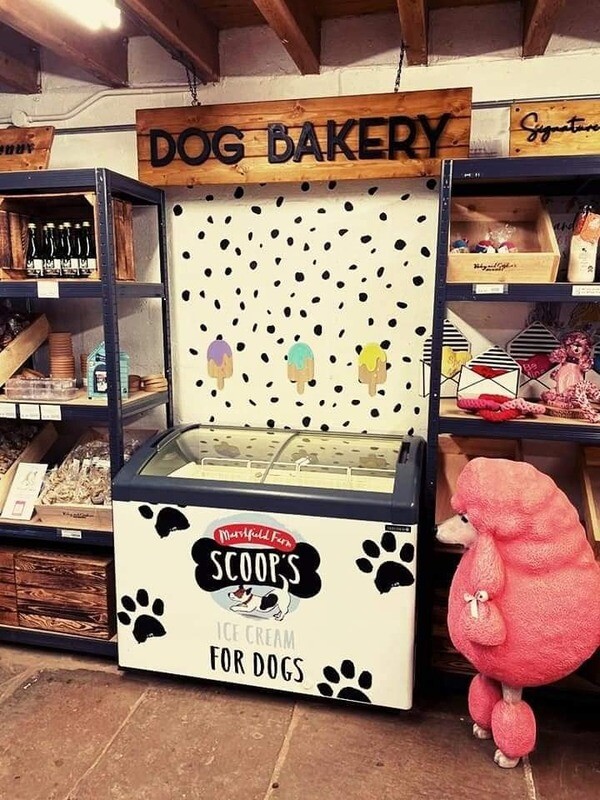 Rother Valley Country Park Dog Bakery