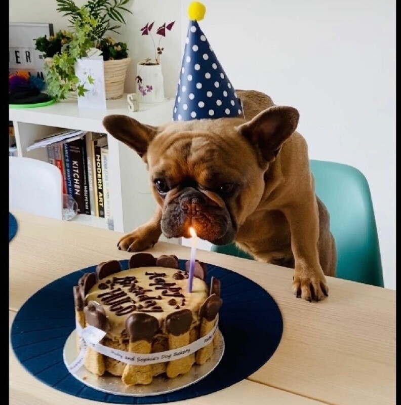 Bone Birthday Cake