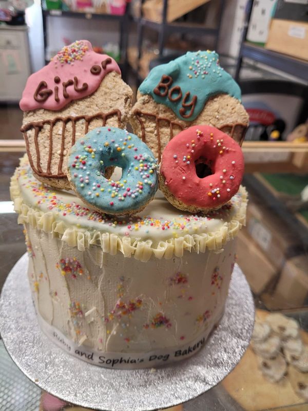 Baby gender reveal cake