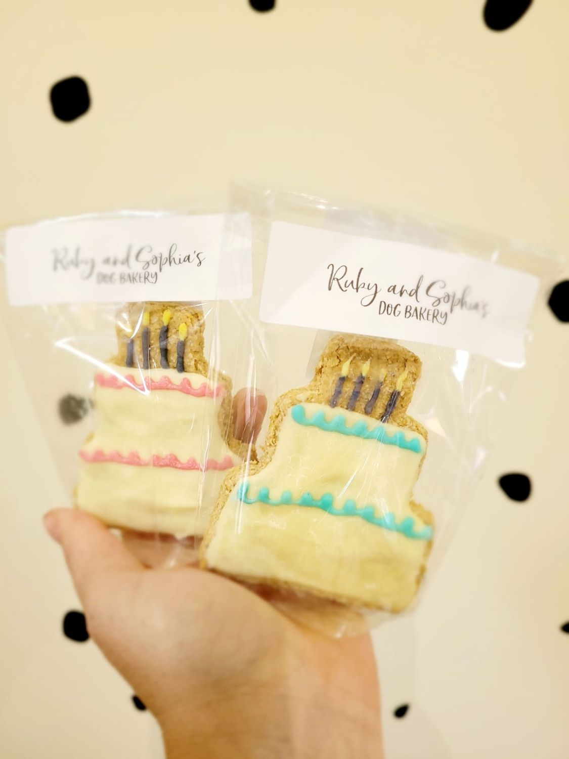 Iced Dog Cake Treat 