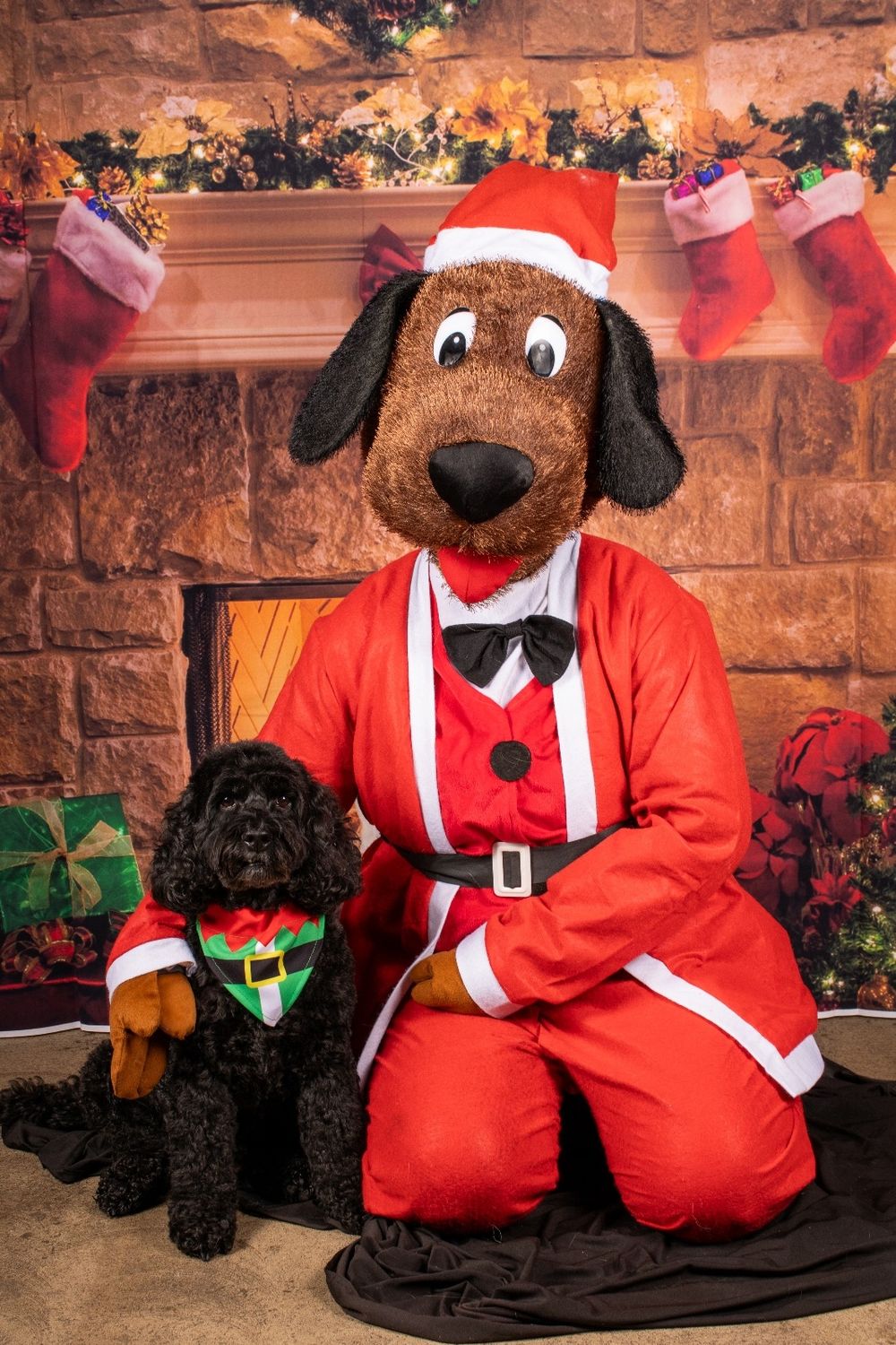 Santa Paws 2025 