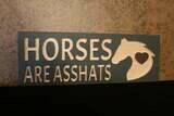 Horses are Asshats Wooden Sign