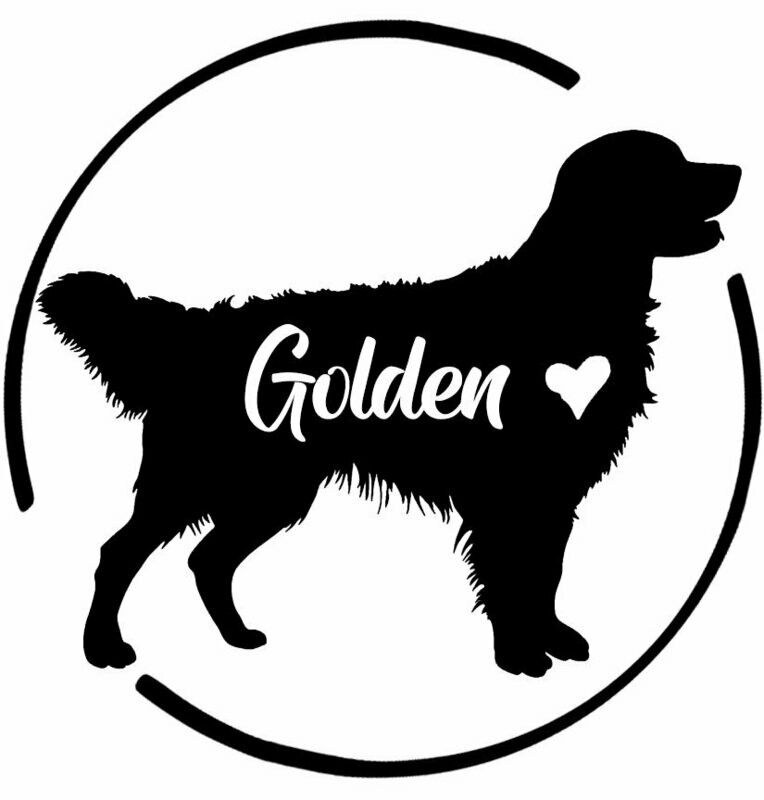 Golden Retriever Heart Decal