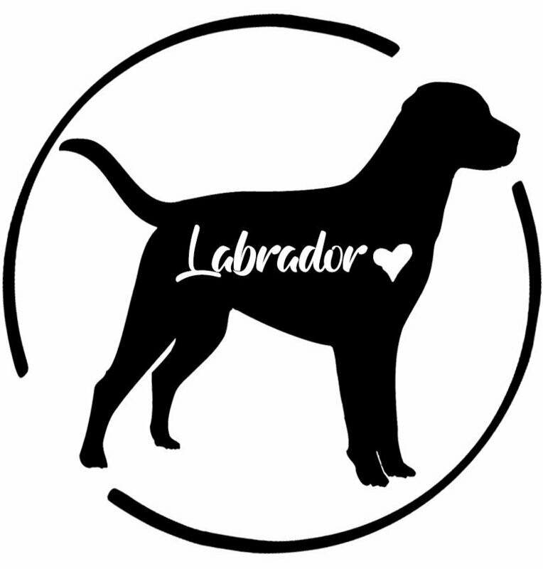 Labrador Retriever Heart Decal