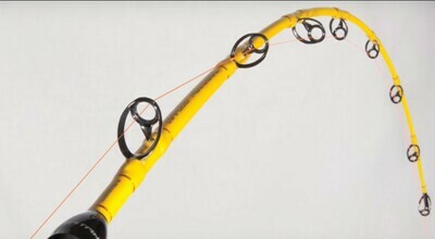 Boat rods heavy and slow pitch