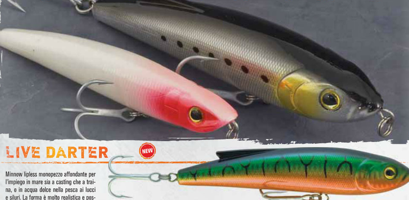 Live Darter lipless minnow for game fish  last in stock sale