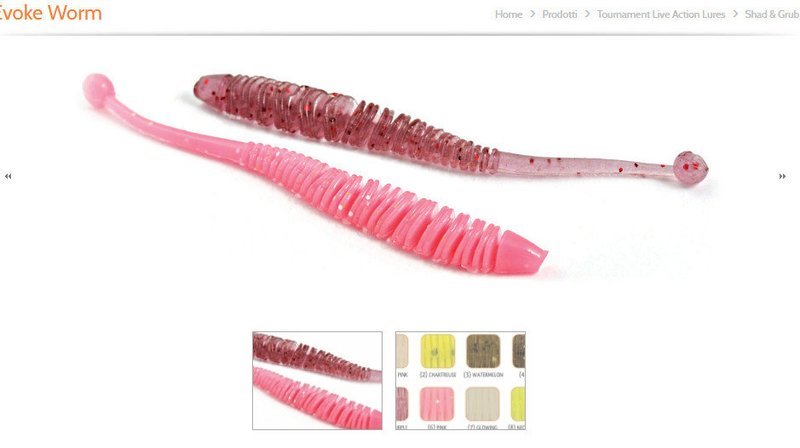Evoke worm 4 inch . stand up floating tail worm . perfect for slow bottom fishing