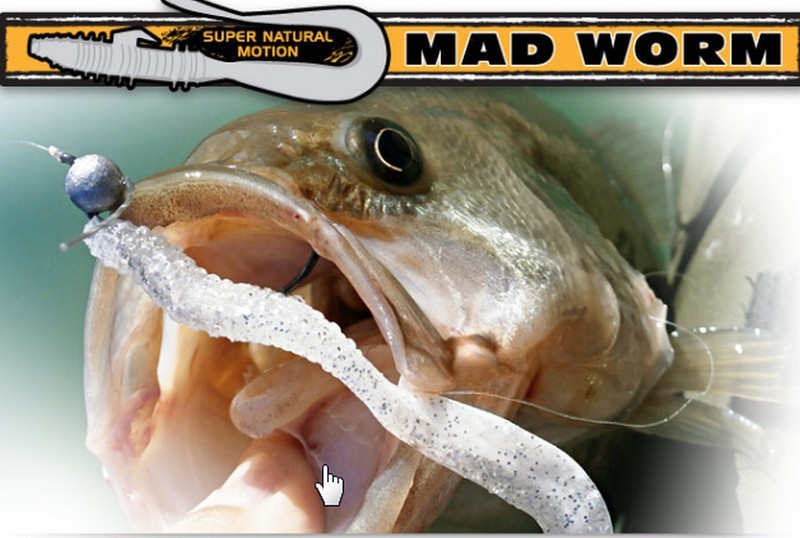 Rapture Mad worm 4 inch