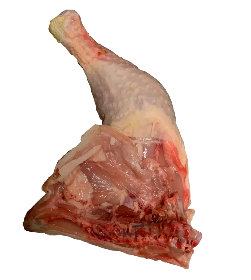 Trasero de pollo