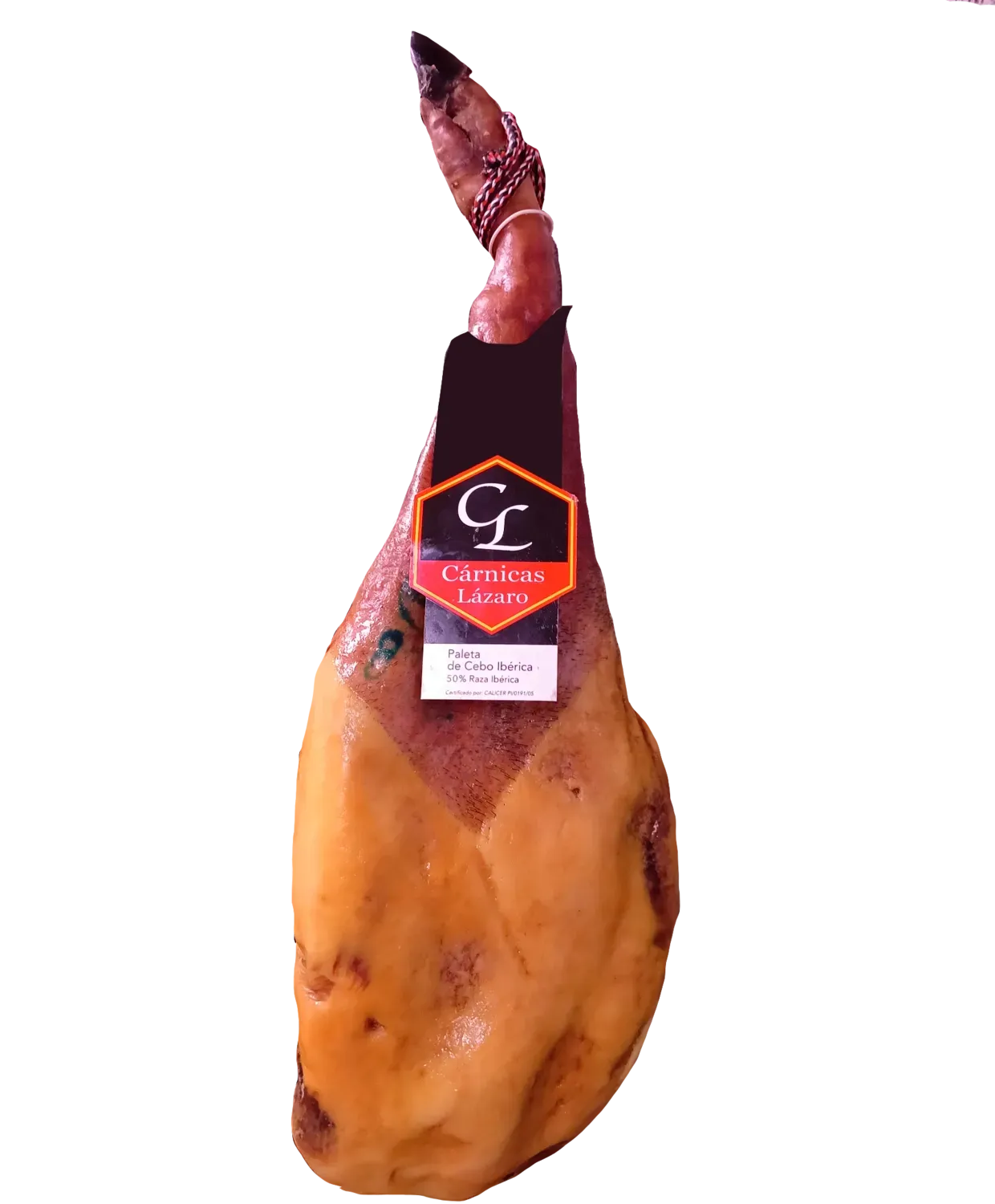 Paletilla Cebo Iberica Paletilla Cebo Iberica