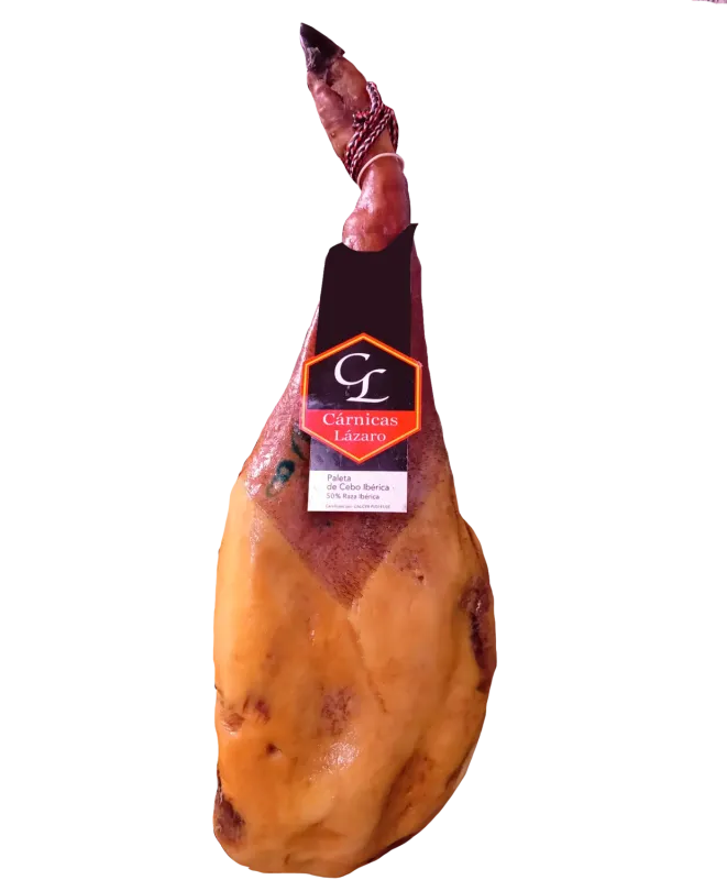 Paletilla Cebo Iberica